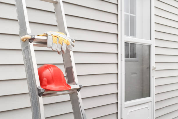 Best Siding Removal and Disposal  in Walworth, WI